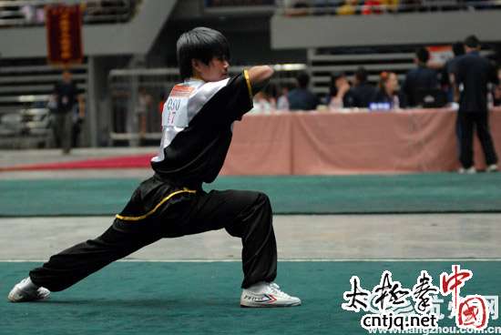 第八届浙江国际传统武术比赛杭州开打