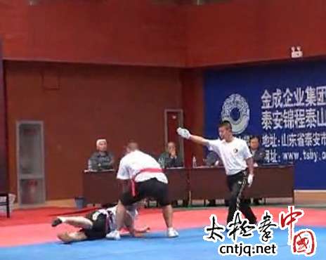 张海涛获首届泰山太极拳交流大赛推手80公斤级以上冠军
