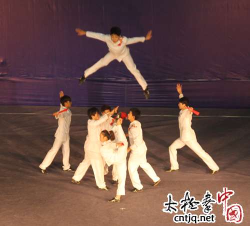 2011年全国武术太极拳锦标赛集体项目：天津队