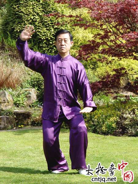 Grandmaster Chen Zheng-lei Introduction