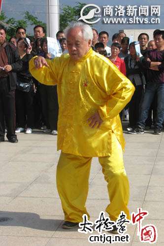 国际太极拳大师陈全忠商洛教拳