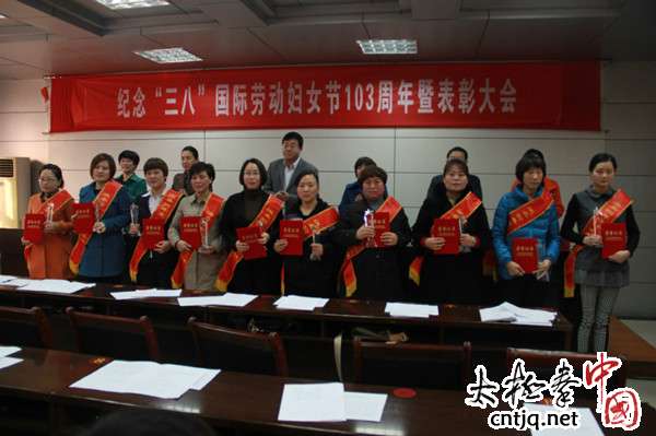 视频：陈朝霞“2012温县十大杰出女性”之一