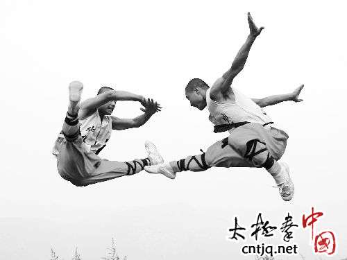 河南省2013年传统武术交流大赛的通知