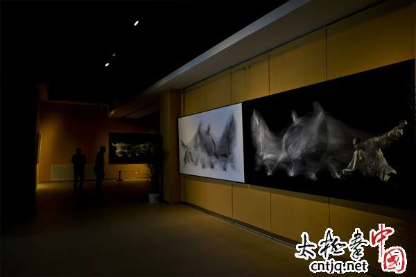 《太极》摄影作品展在河南省博物院举办