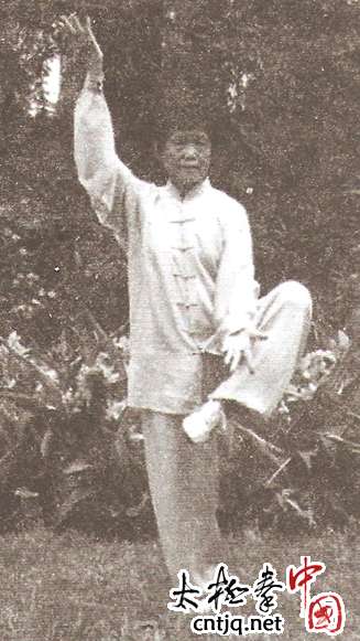 太极入门的教与学
