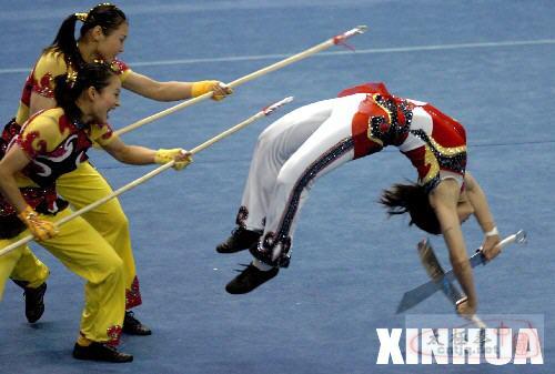 2008年河南省青少年传统武术锦标赛闭幕