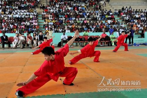中国武术表演团应加蓬文体部门的邀请,在邦戈(国家)体育馆为当地中小学生表演。韩建明摄
