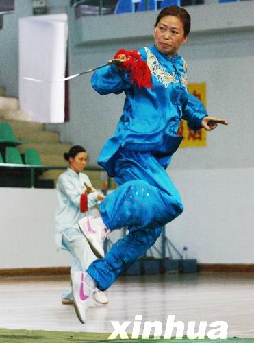 首届广西传统武术健康交流大会在桂林举行