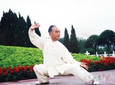 陈照奎宗师著名弟子马虹先生在石家庄传授太极拳