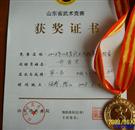 淄博乔秀军荣获2008山东省武术太极拳锦标赛第一名