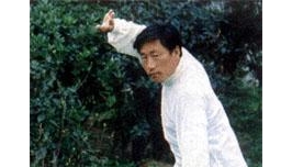 1984年武汉国际太极拳交流大会名家
