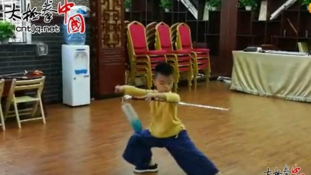 熊振宇航《首届“拳”城寻找太极未来星》大赛参赛作品