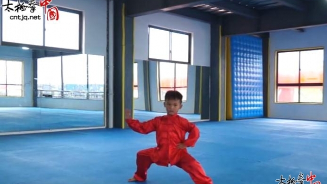 职腾逸《首届“拳”城寻找太极未来星》大赛参赛作品