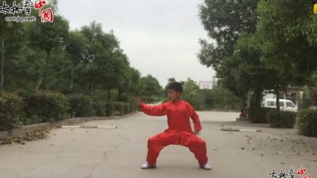陈新建《首届“拳”城寻找太极未来星》大赛参赛作品