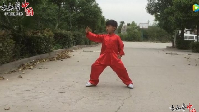 段家旺《首届“拳”城寻找太极未来星》大赛参赛作品