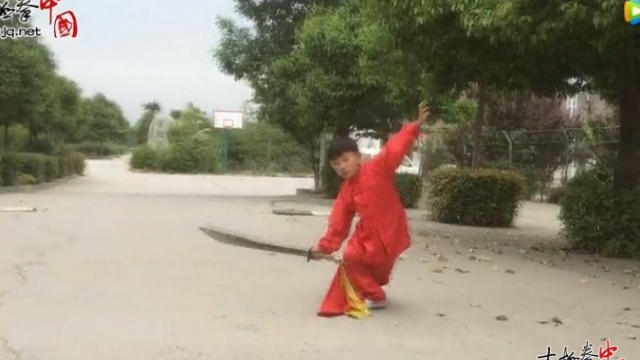 段家旺《首届“拳”城寻找太极未来星》大赛参赛作品
