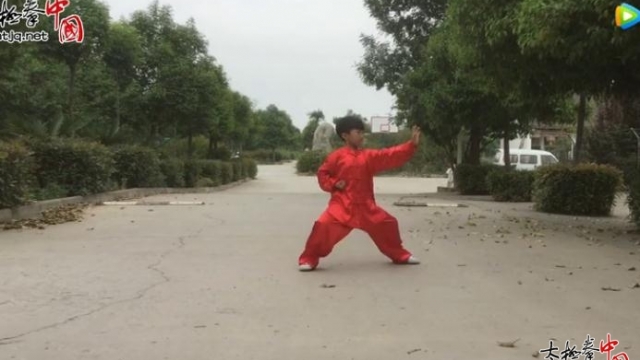 段相吾《首届“拳”城寻找太极未来星》大赛参赛作品
