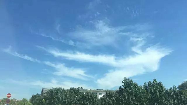 2017年陈炳老师弟子新架一路提高班第二期通知