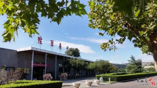 太极传人李建中走进伏羲琴院，传授正宗陈式太极拳