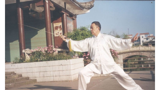 1995年冯志强大师太极散推珍贵视频